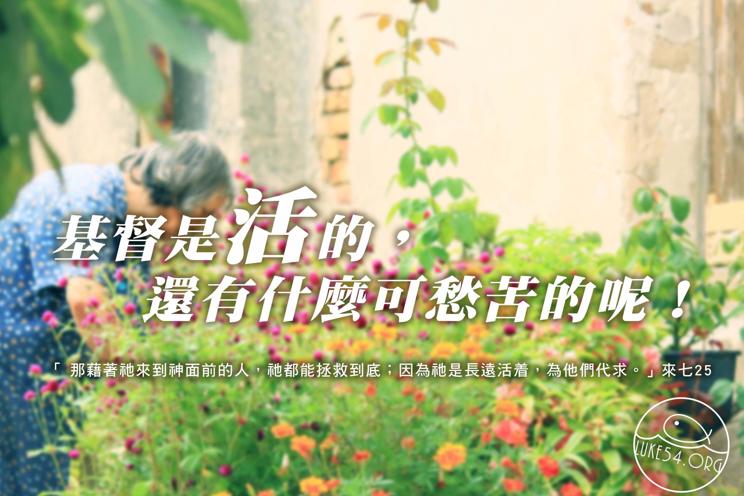 【水深LINE精選】等待三天