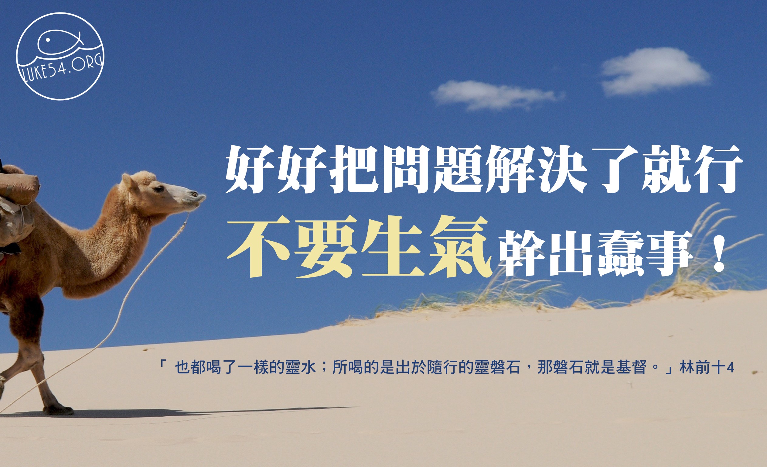 【水深LINE精選】生氣的駱駝