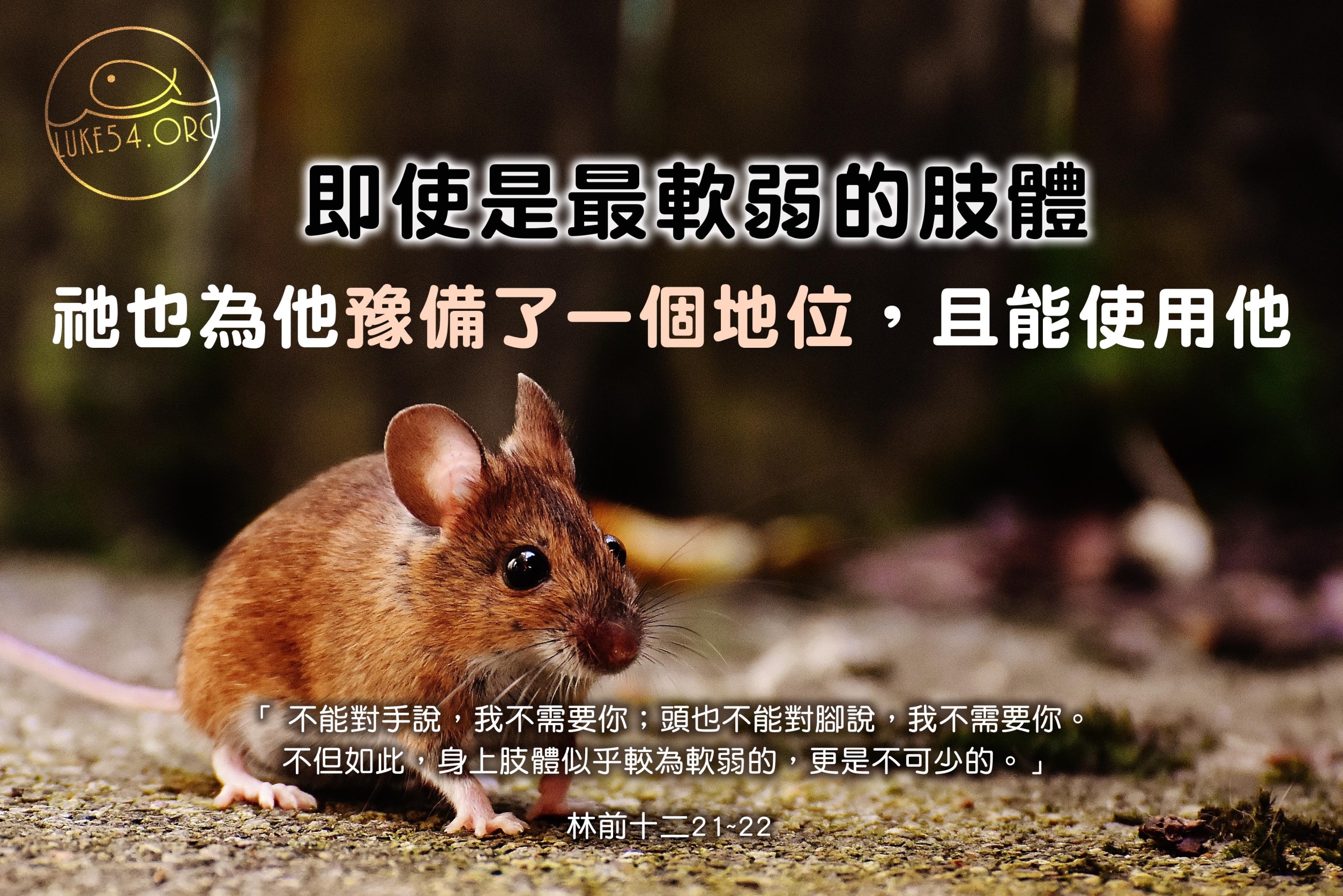 【水深LINE精選】每個生命都不卑微