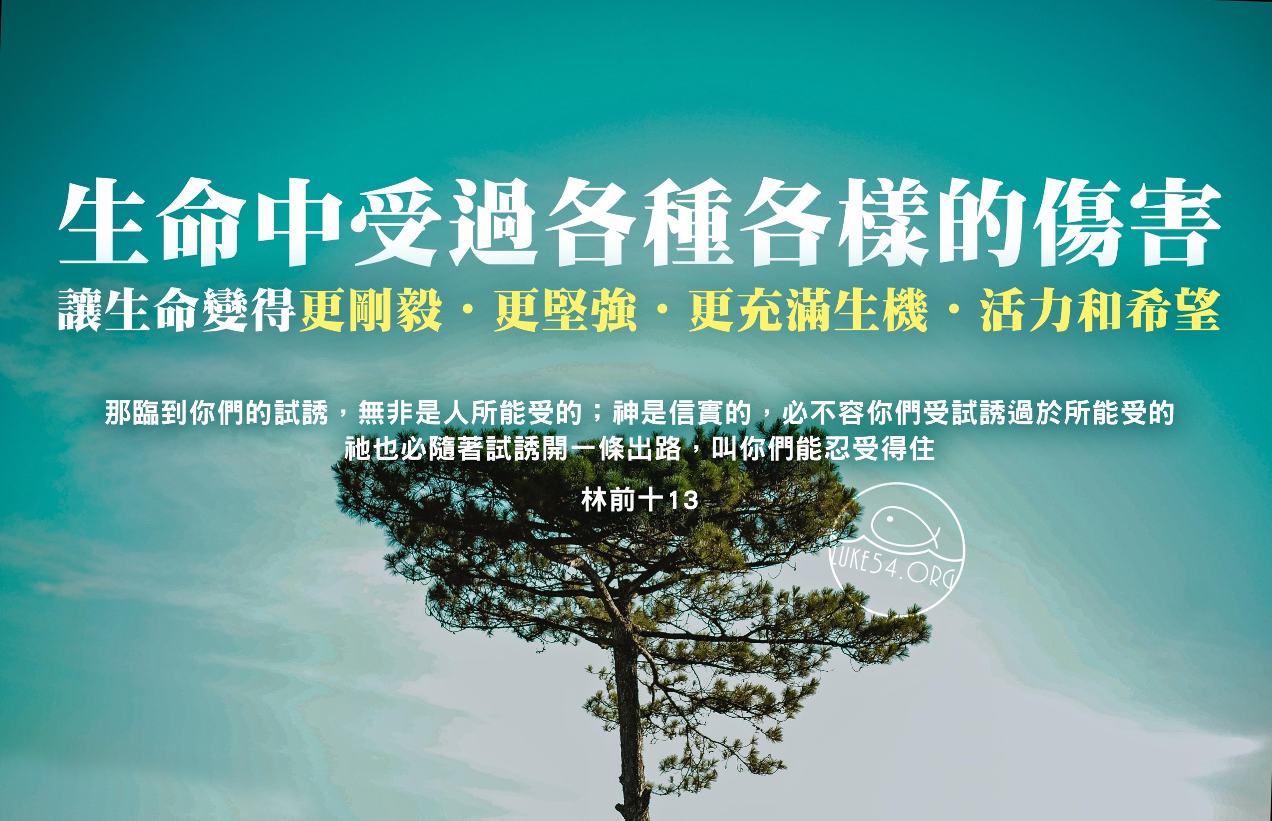 【水深LINE精選】受傷的樹