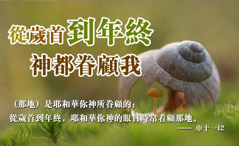 【水深LINE精選】 從歲首到年終,神都眷顧我