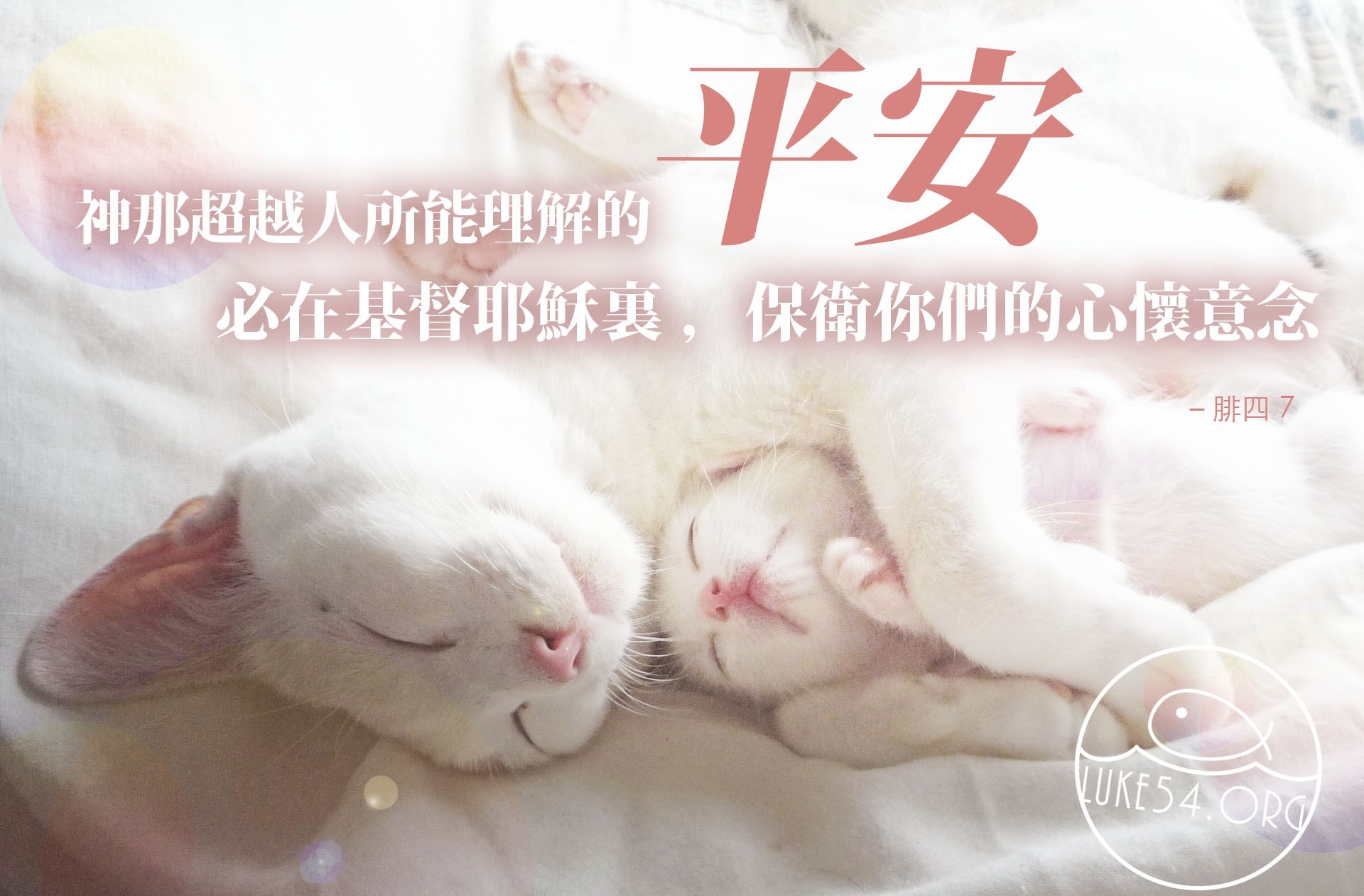 【水深LINE精選】 不必憂慮了!到神這裏來吧!