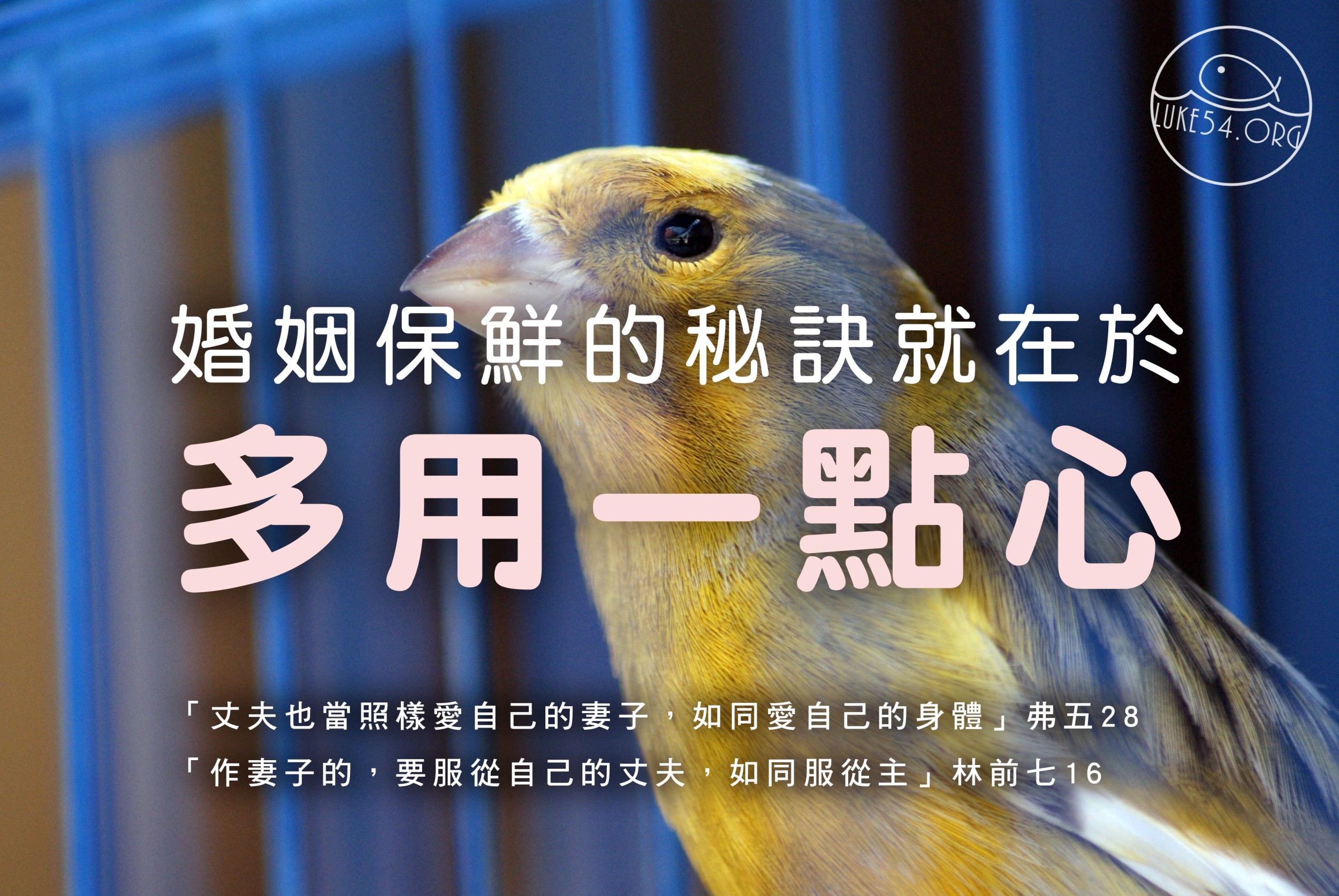 【水深LINE精選】鳥飛走了