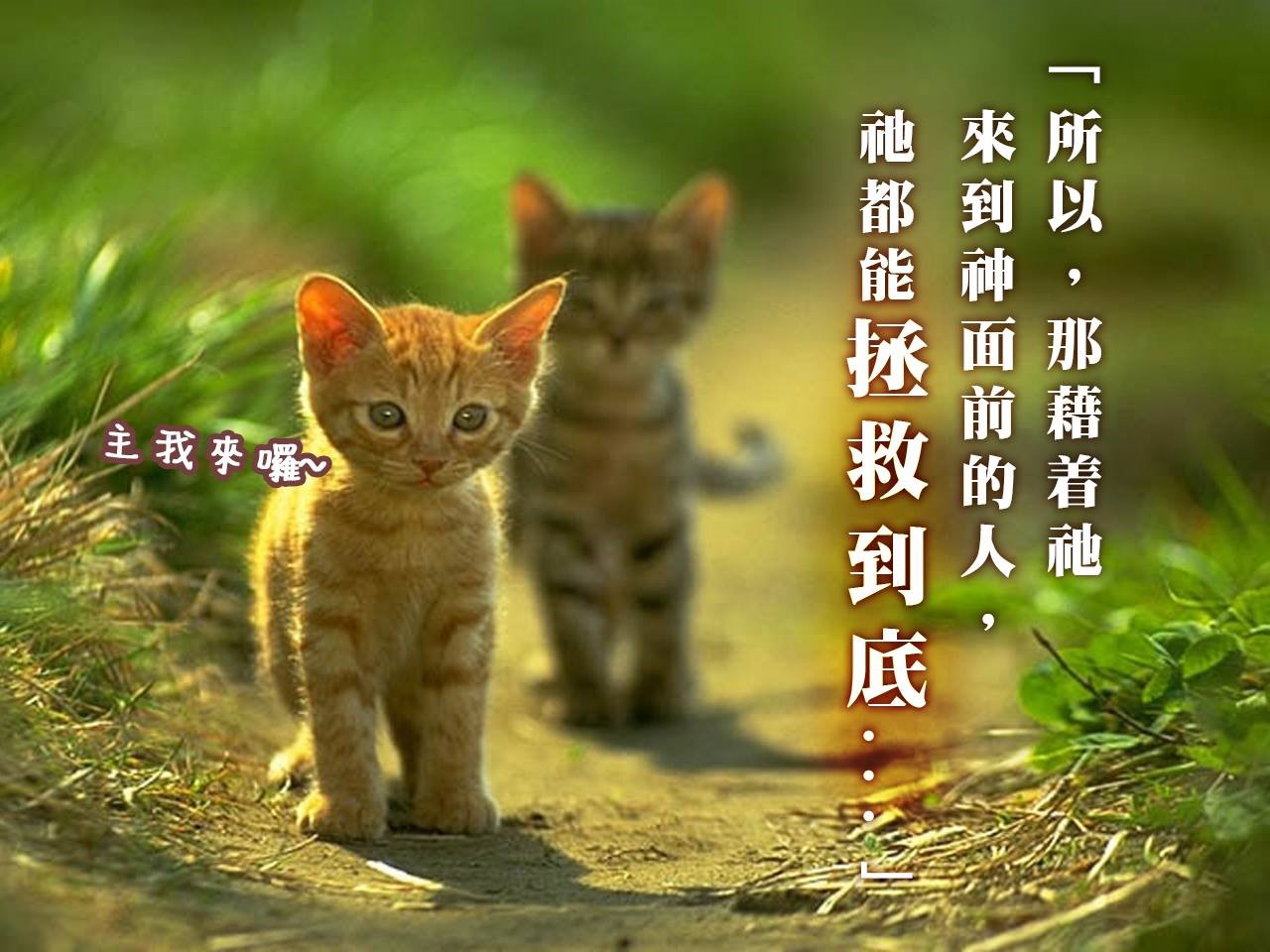 【水深LINE精選】主耶穌從不忘記為我禱告
