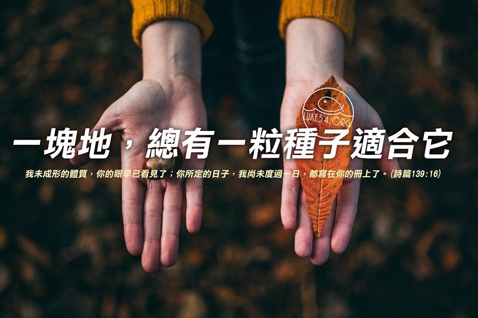 【水深LINE精選】一粒堅韌的種子