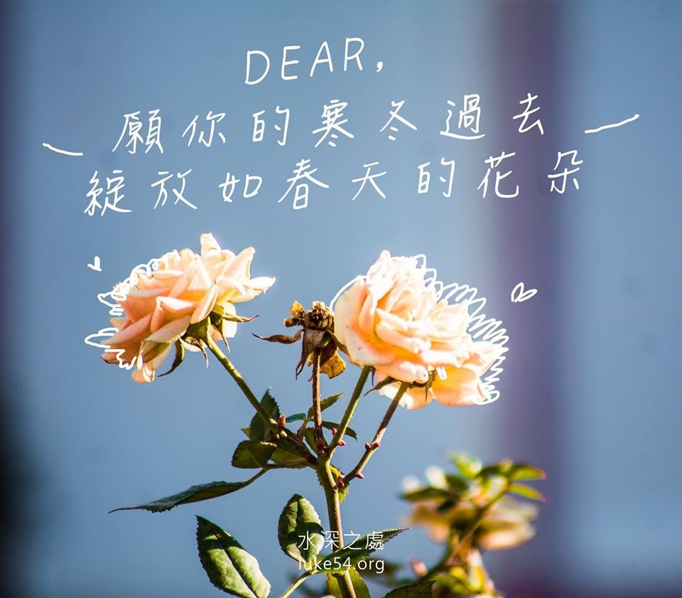 【水深LINE精選】春天的遠行