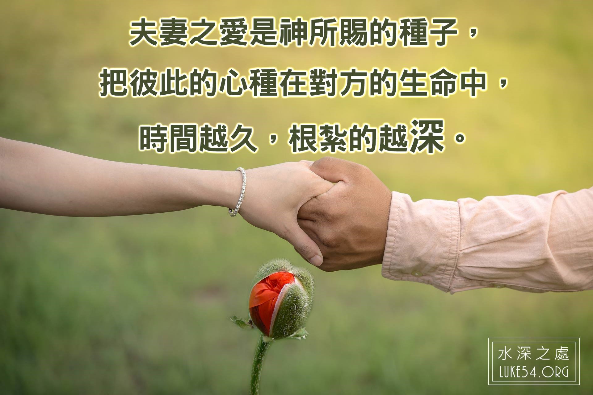 【水深LINE精選】夫妻之愛是神所賜的種子