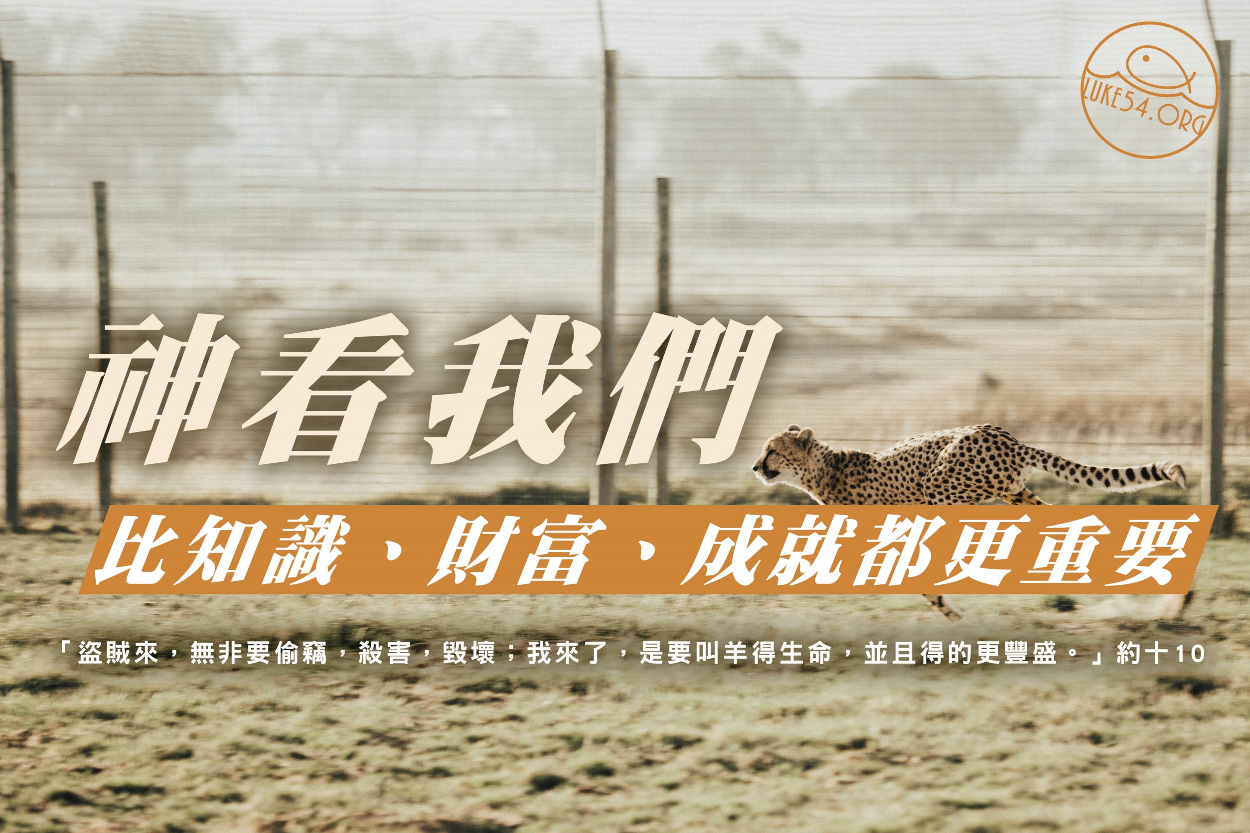 【水深LINE精選】喪命的豹