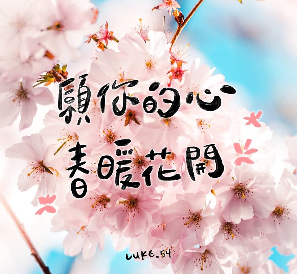 【水深LINE精選】願你的心春暖花開