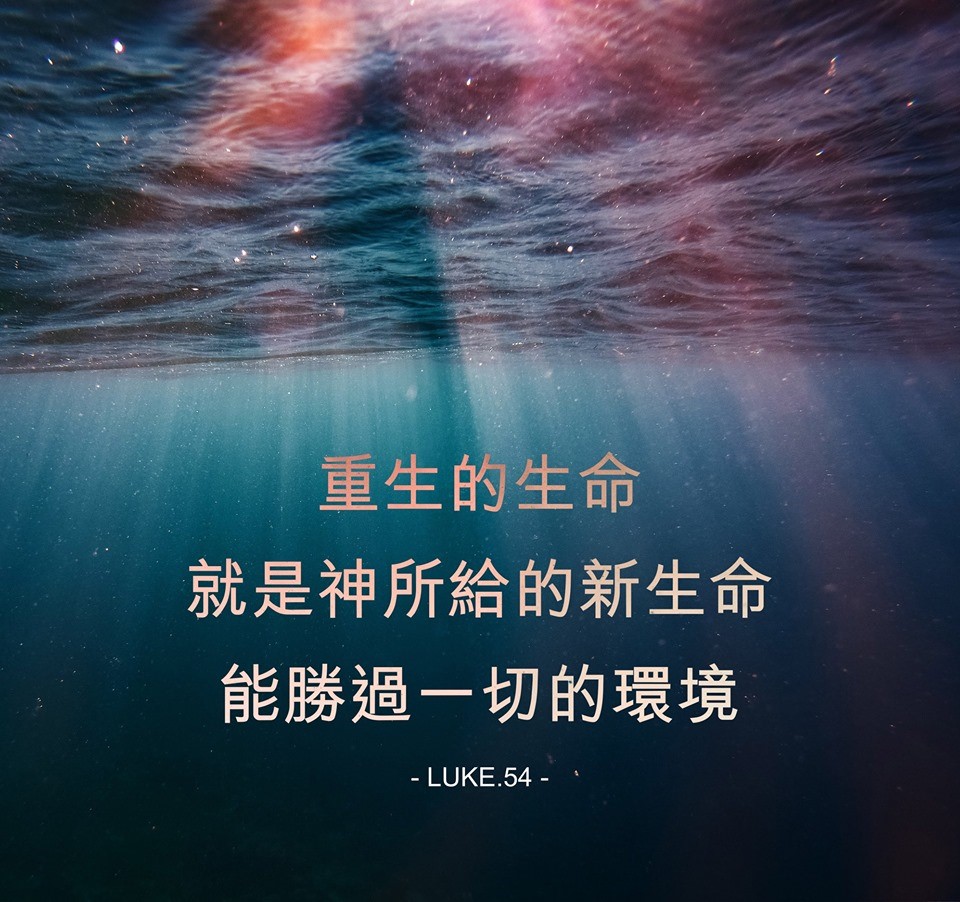 【水深LINE精選】神所給的新生命能勝過一切環境