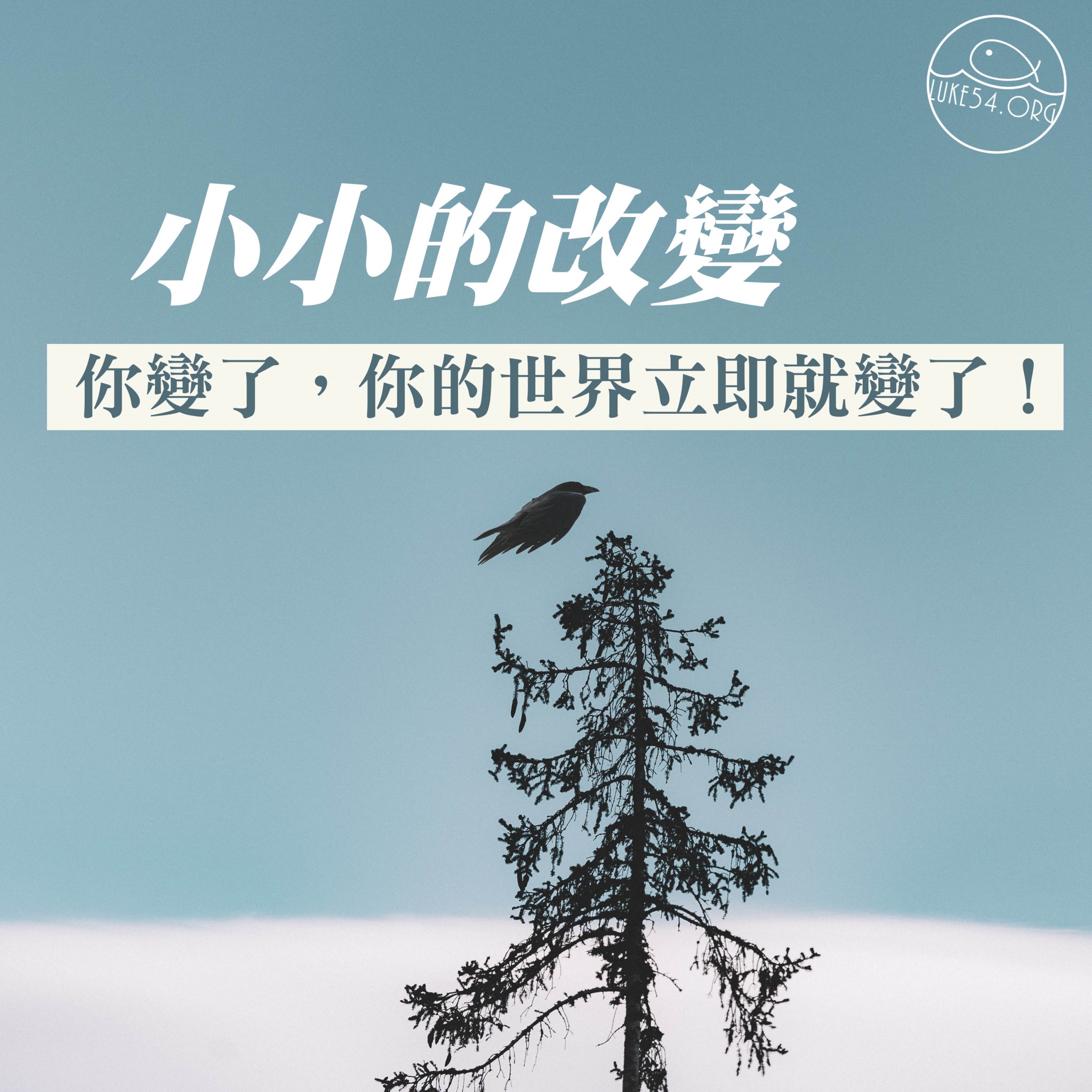 【水深LINE精選】烏鴉與鴿子的對話