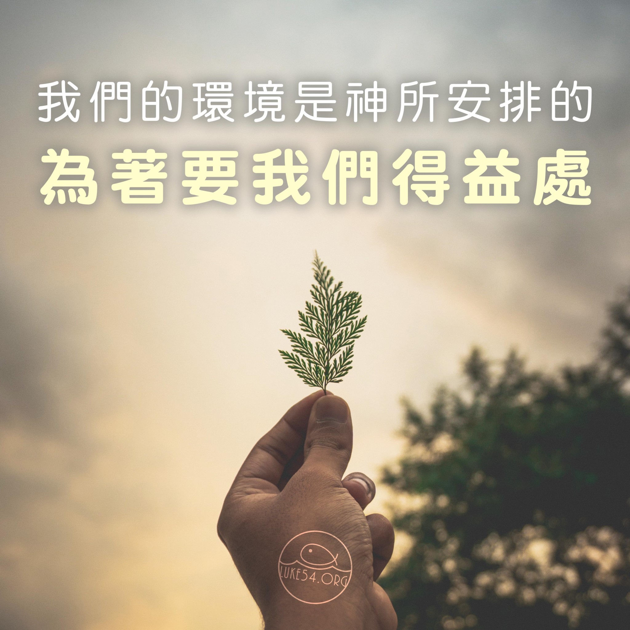 【神知道我們真實的需要】神既然造了我們,一定知道、供給我們需要的一切...