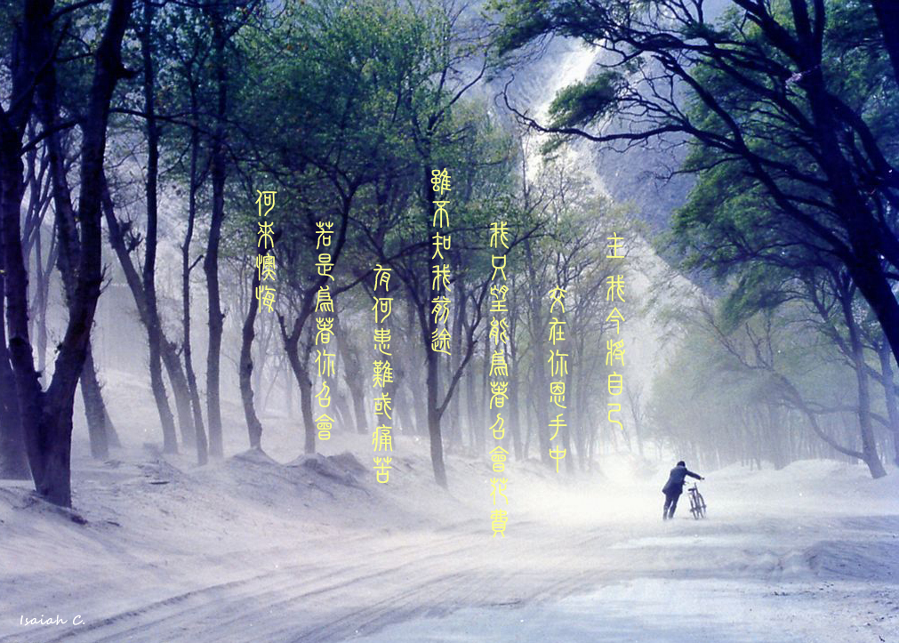 【詩歌桌布】主 我今將自己交在你恩手中