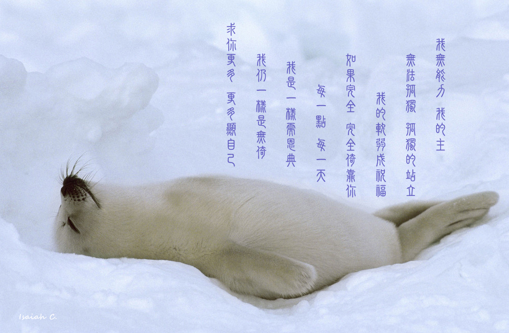 【詩歌桌布】我無能力 我的主