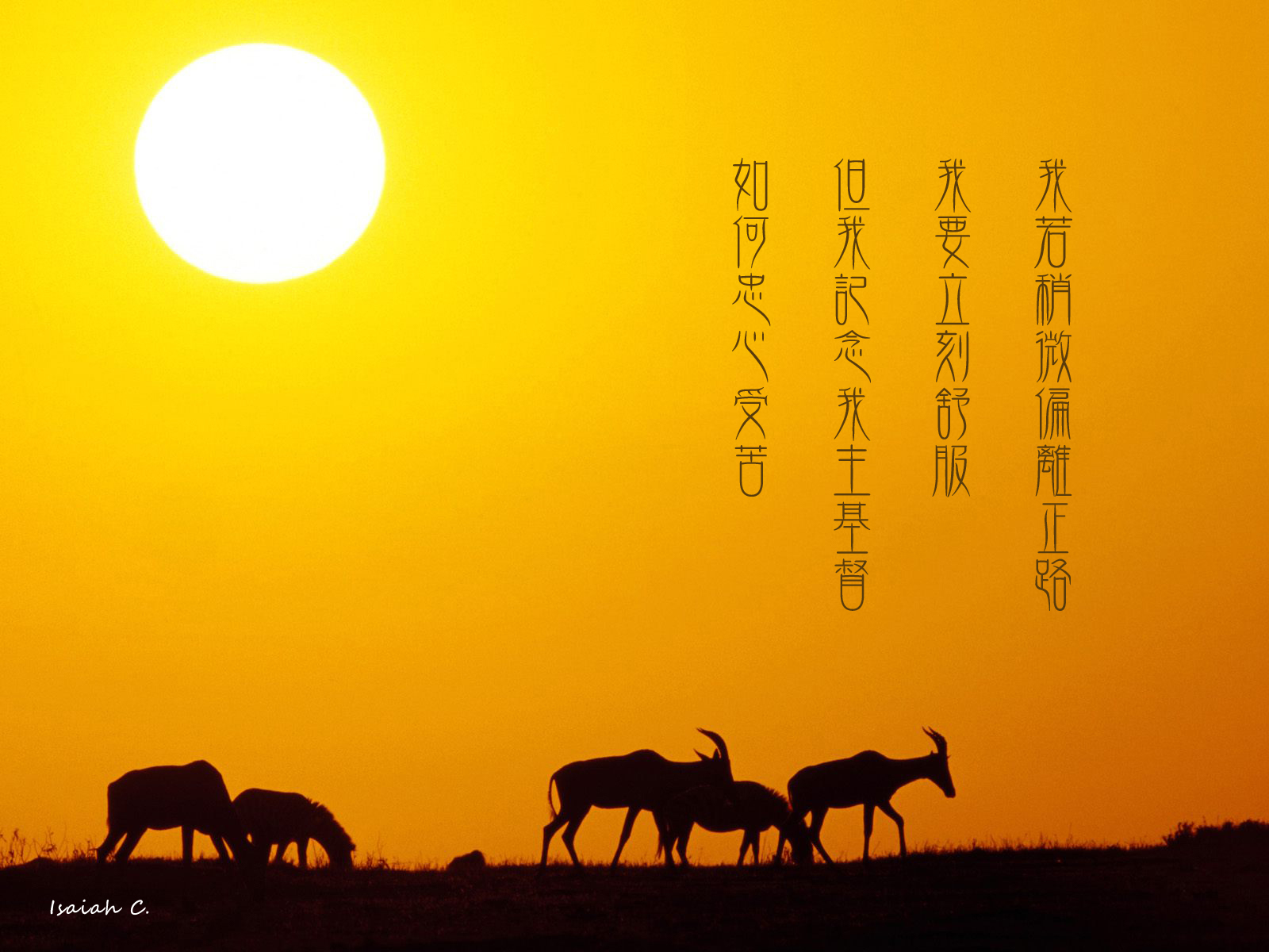 【詩歌桌布】我若稍微偏離正路