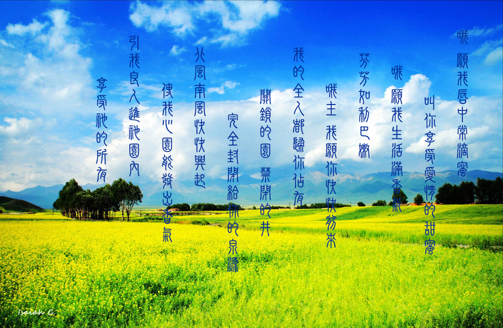 【詩歌桌布】至美的享受