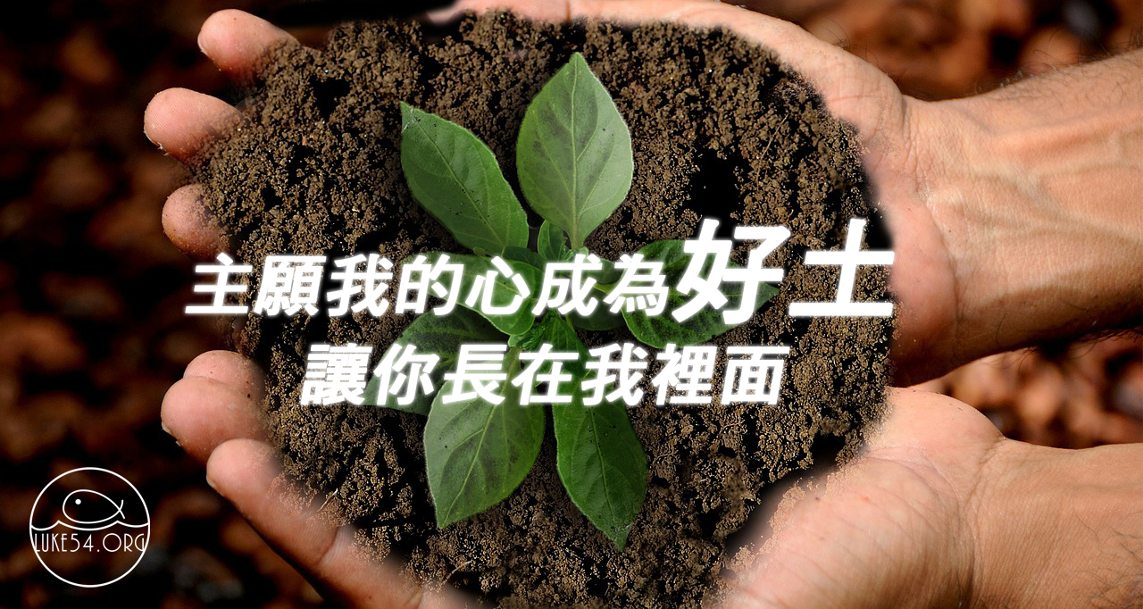 你的心如何呢?