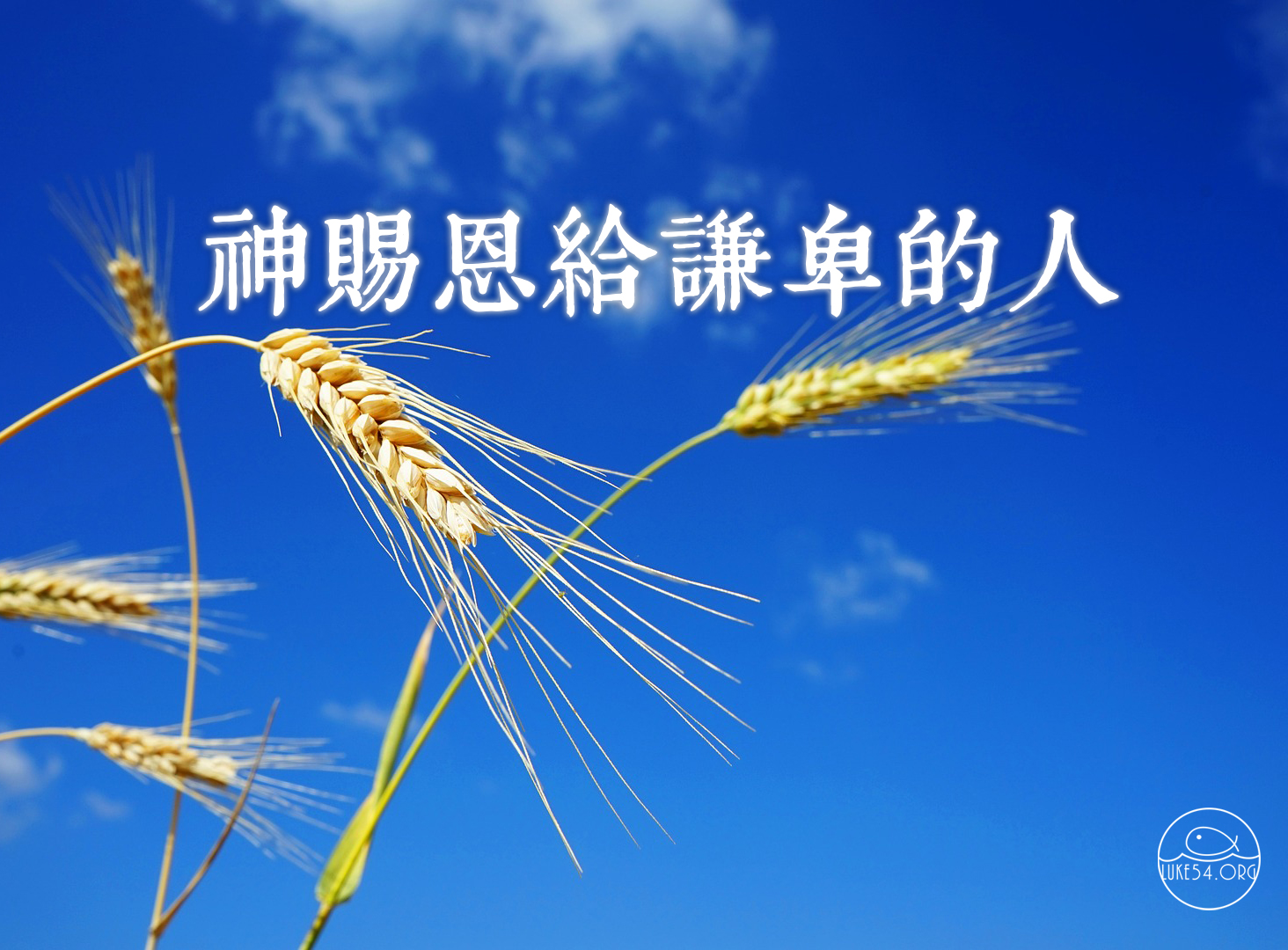 神賜恩給謙卑的人