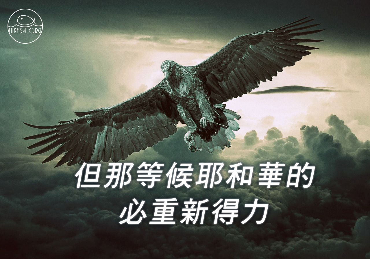 等候永遠的神,經歷恩典