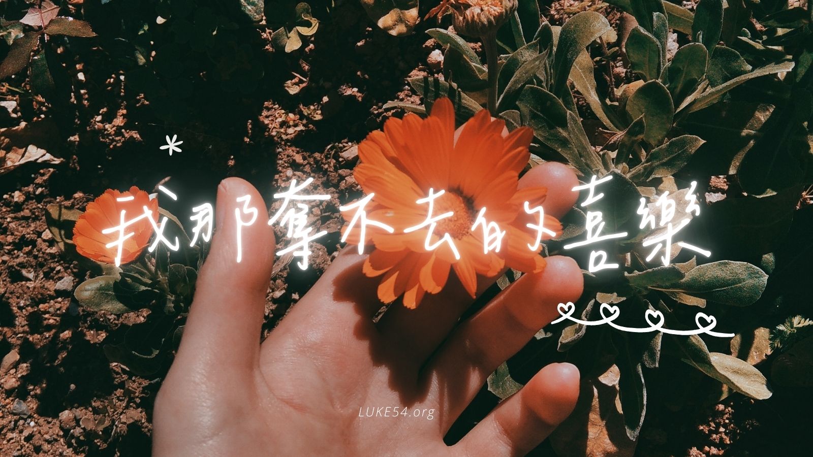 【星夜漫飛】要喜樂