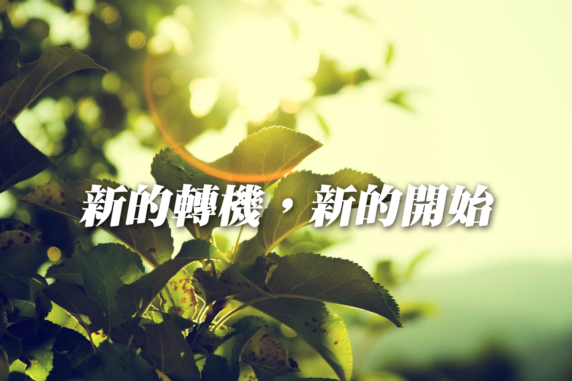 新的轉機,新的開始