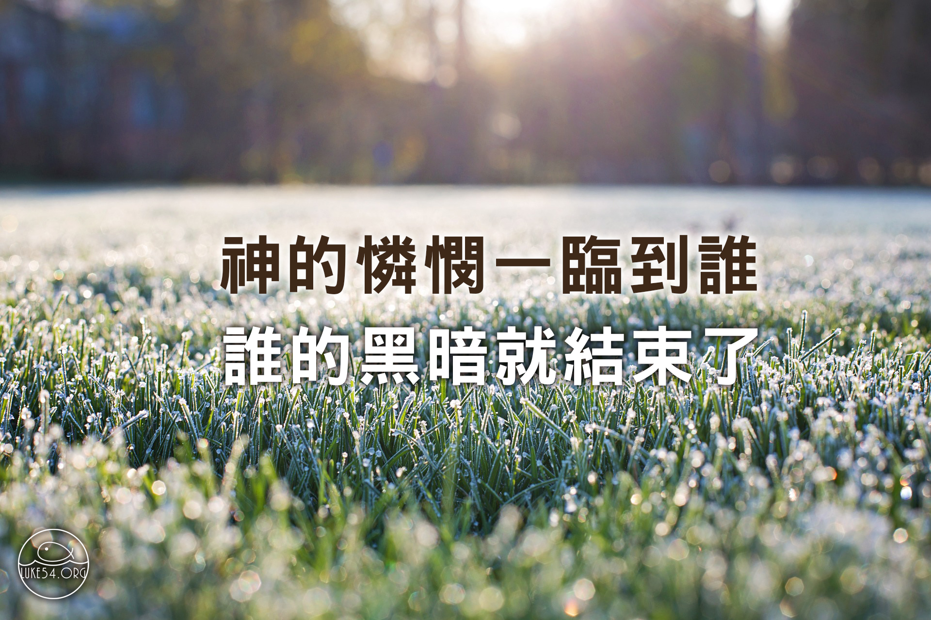 憐憫的晨光