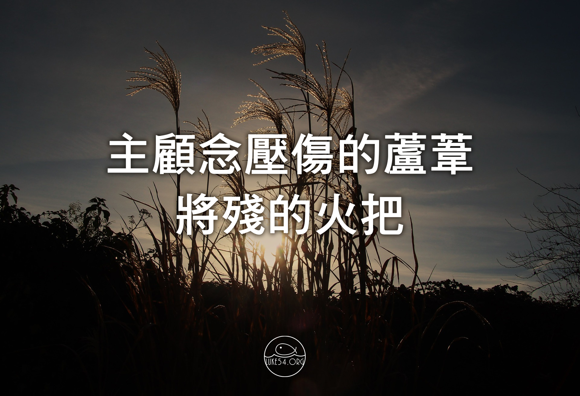 主顧念壓傷的蘆葦,將殘的火把