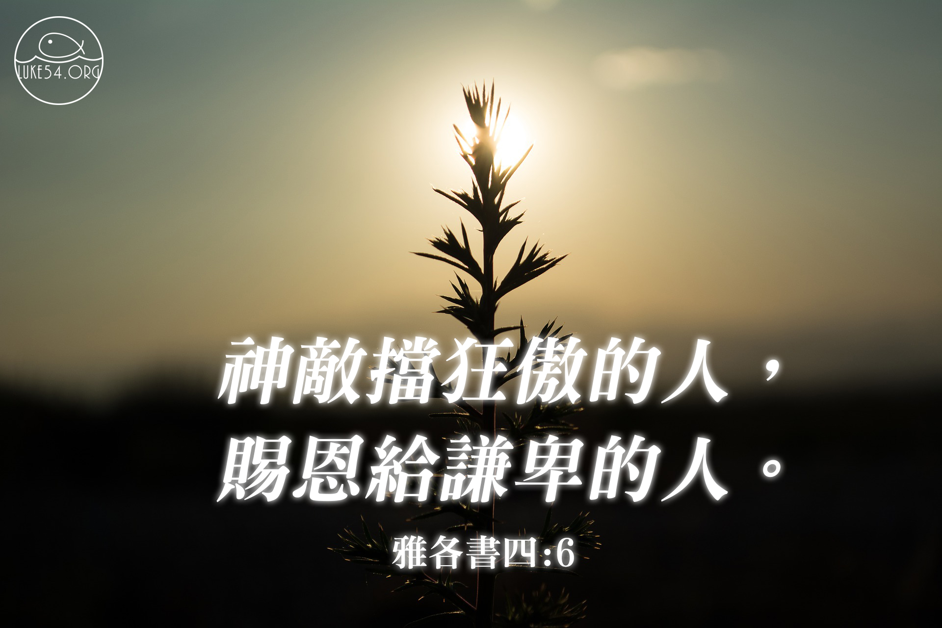 賜福的神