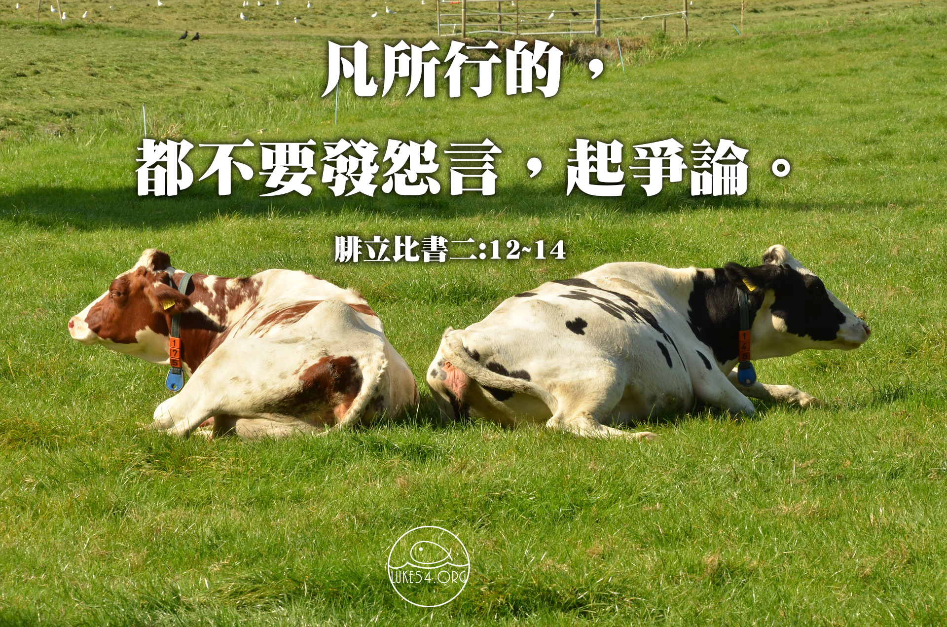 不發怨言,不起爭論