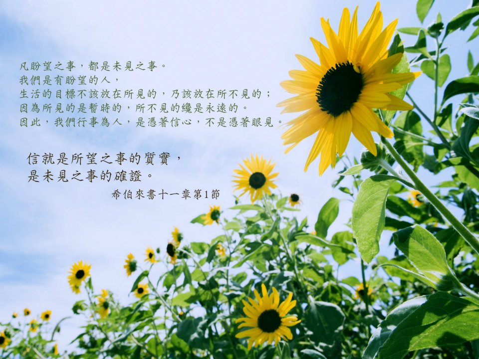 憑信心,不憑眼見!