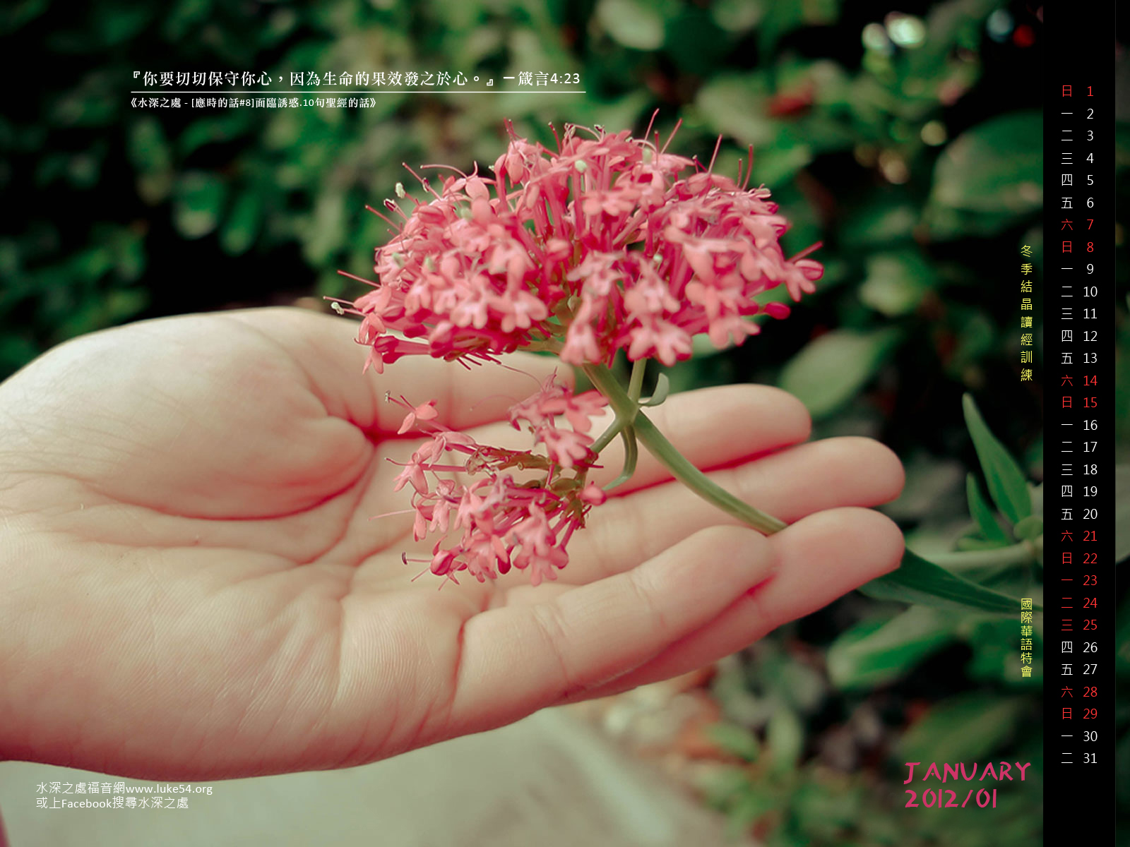 【桌布】2012福音月曆桌布─1月份
