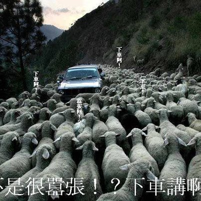 從年輕人角度去看異端