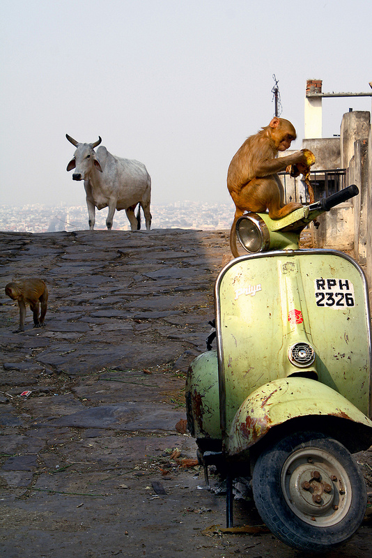 台灣人在印度的故事(三)