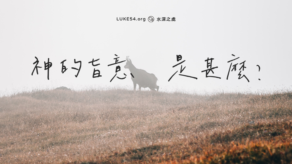 神的旨意是甚麼?