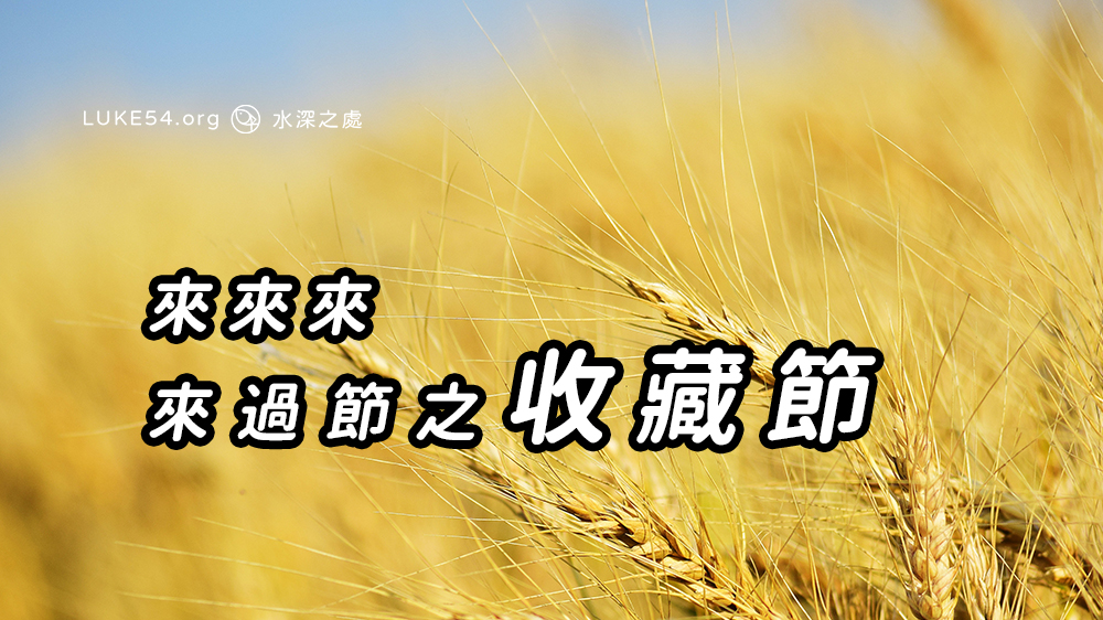 來來來,來過節之收藏節