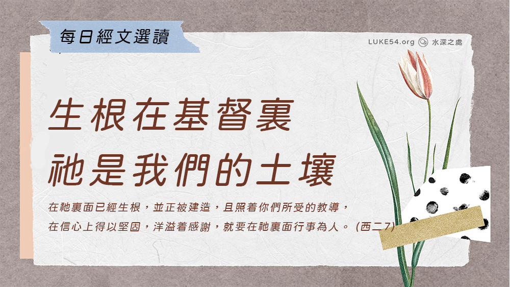 聖經中的一塊地《二》