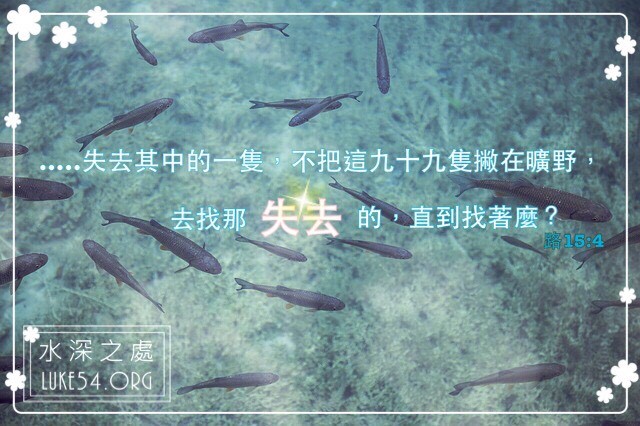 【水深聽故事】坑洞中的小魚兒