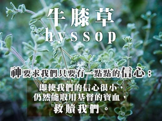 【水深聽故事】請問這裡有賣主耶穌嗎