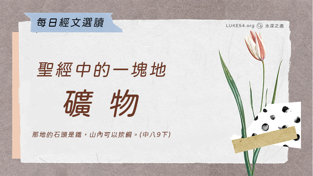 聖經中的一塊地《十一》礦物