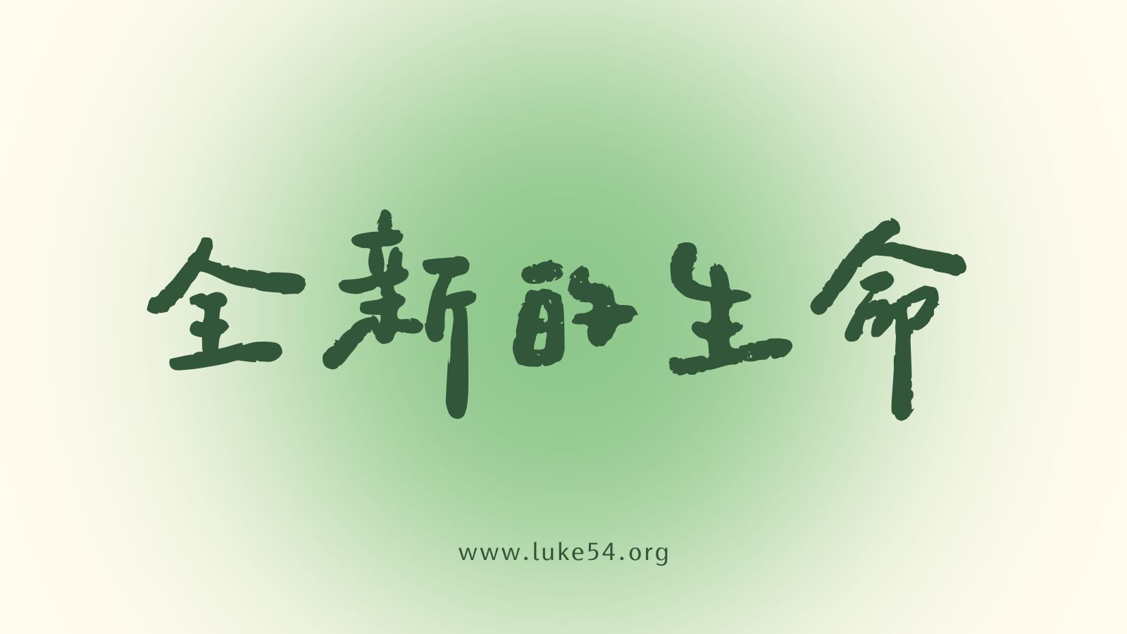 全新的生命