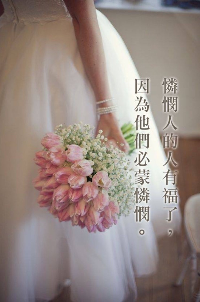 【智慧的選擇】忘掉那一袋死老鼠吧!