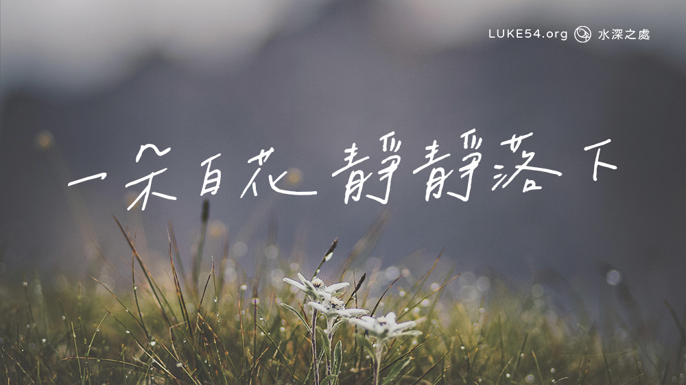 一朵白花靜靜落下