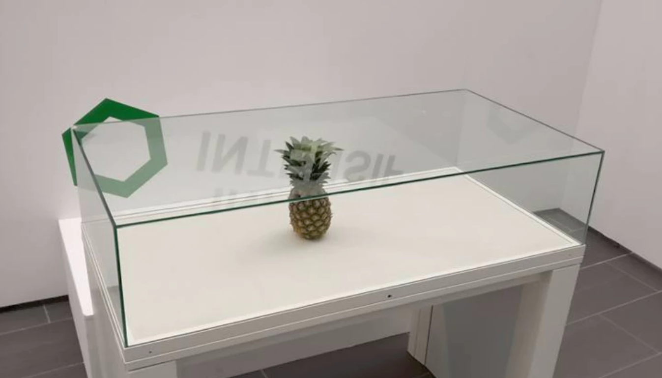 【放在展示櫃內的鳳梨】評估自己永遠是一件很艱難的功課
