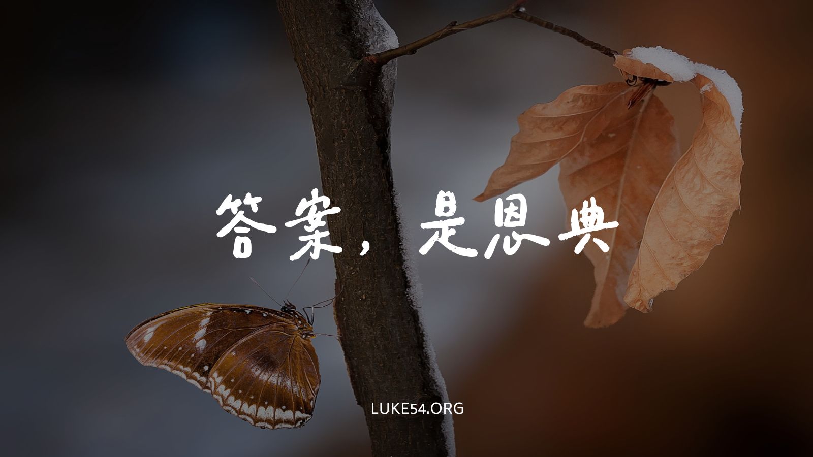 【答案,是恩典】為什麽基督徒還會有不幸的事發生?