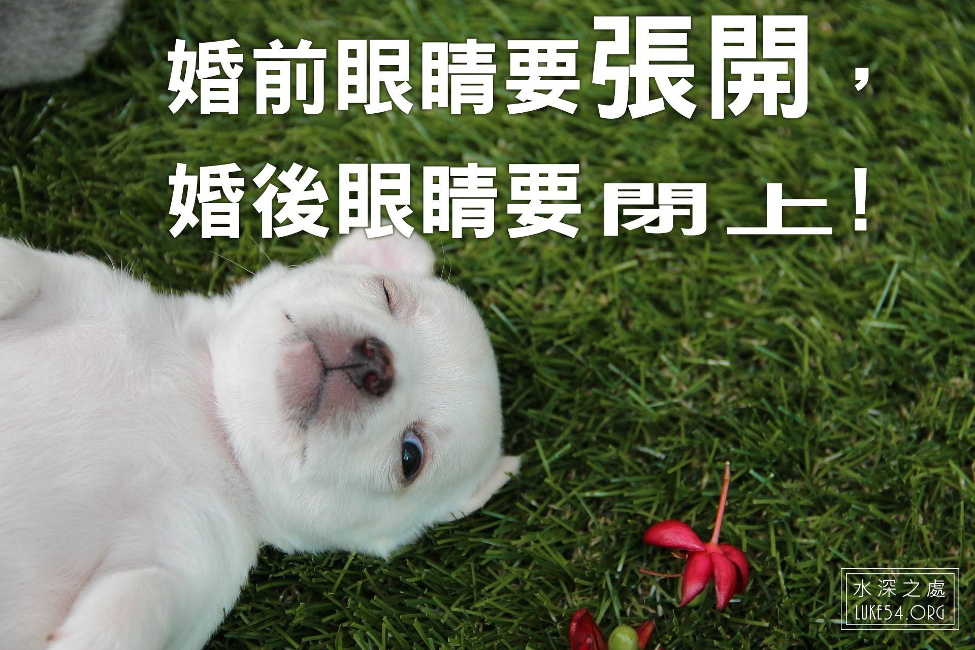 【水深LINE精選】長不大的小女孩