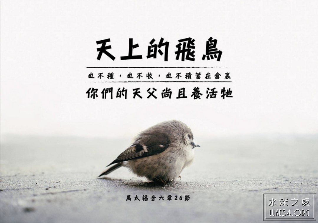 【水深LINE精選】蘋果樹