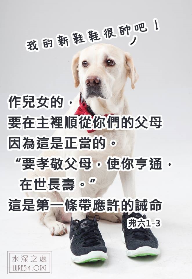 【水深LINE精選】送鞋的意外收穫