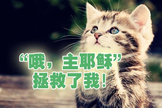 “哦,主耶稣“ 拯救了我!