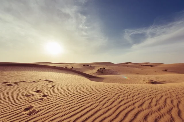 pexels-arid-1866541_640.webp