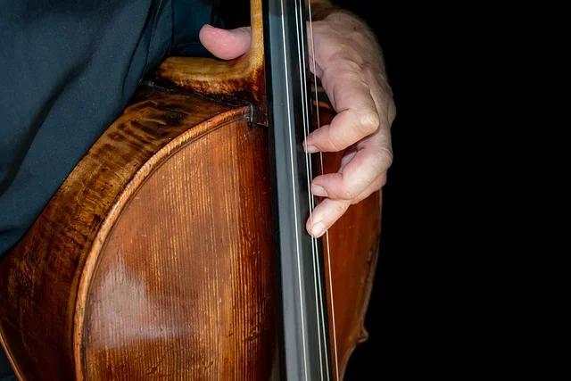 ri_ya-cello-4516893_640.webp